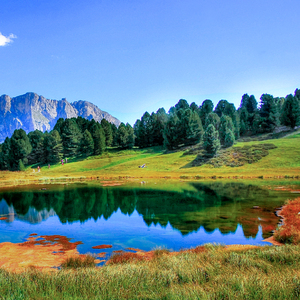 小雨和公做爰22集
